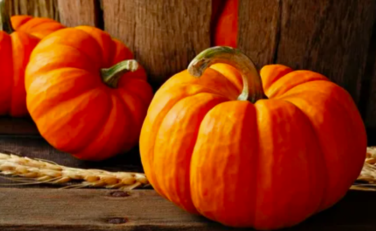 Фото Тыквенный Спас 31 октября 2025 года: что это за праздник и как его отмечать 2 - Сиб.ФМ Фото Тыквенный Спас 31 октября 2025 года: что это за праздник и как его отмечать 2